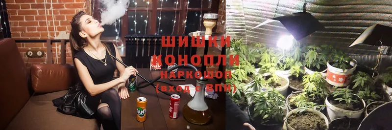 МАРИХУАНА SATIVA & INDICA  Сергач 